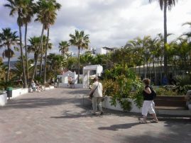 Fotografie nevim-25-20100923-1087143522_original.jpg