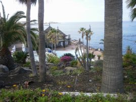 Fotografie nevim-26-20100923-1044738070_original.jpg