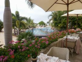 Fotografie nevim-5-20100923-1282547044_original.jpg