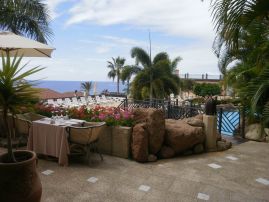 Fotografie nevim-7-20100923-1554318902_original.jpg