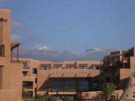 Fotografie ste-2012-20120228-1662321471_original.jpg