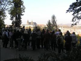 Fotografie p-20101003-1130257434_original.jpg