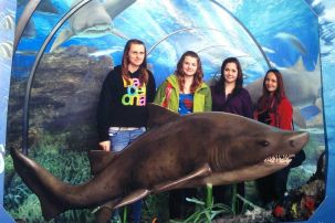 Fotografie panlsko-20150407-1842192977_original.jpg